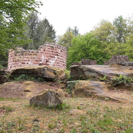 Fewo Jule Thaleischweiler-Froschen Exterior foto
